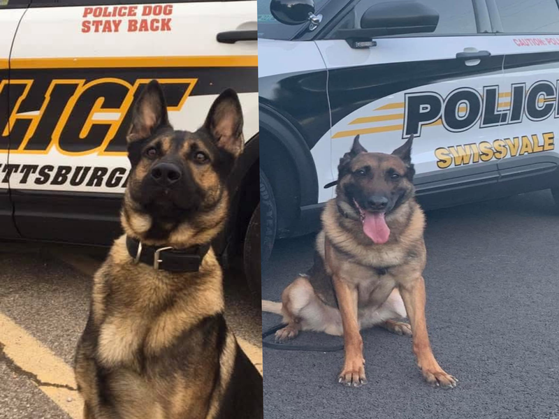 K9 Officers Jr. and Atlas