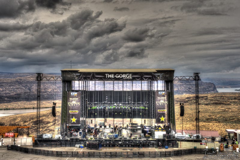 Pain in the Grass 2013