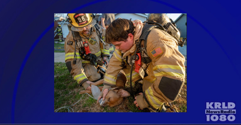 fire rescue