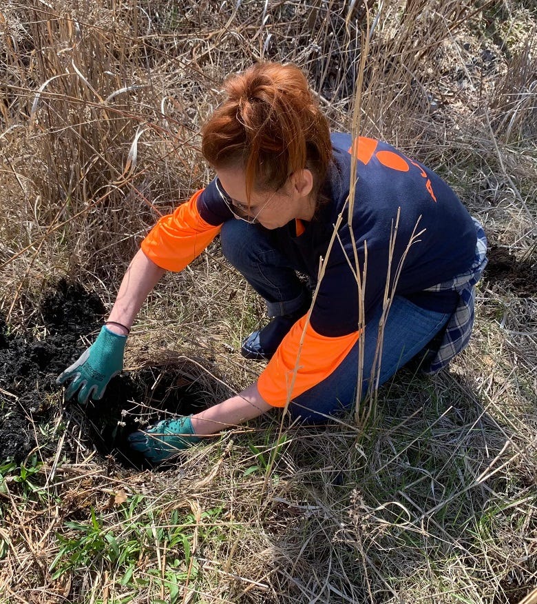 Traffic reporter Kylie B planting a tree
