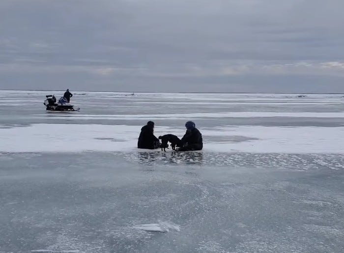 One dog got a happy reunion with its owner after the pup went missing for almost a week and was found wandering several miles out on the frozen waters of Saginaw Bay.