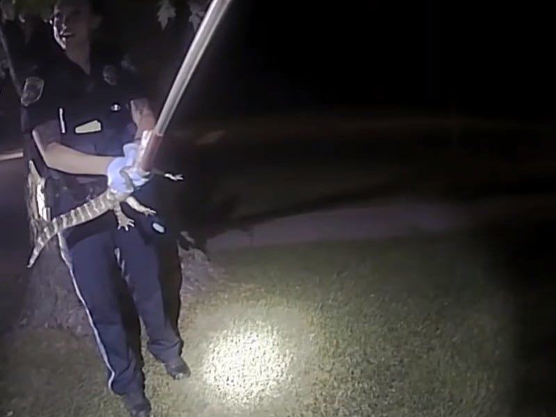 Kalamazoo police officer holding alligator