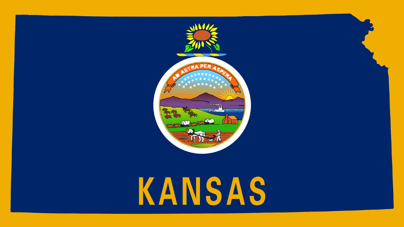 Kansas Election 2020 - Results