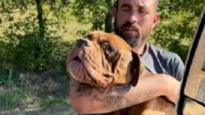 Kaufman County investigators search for person of interest in animal abandonment case