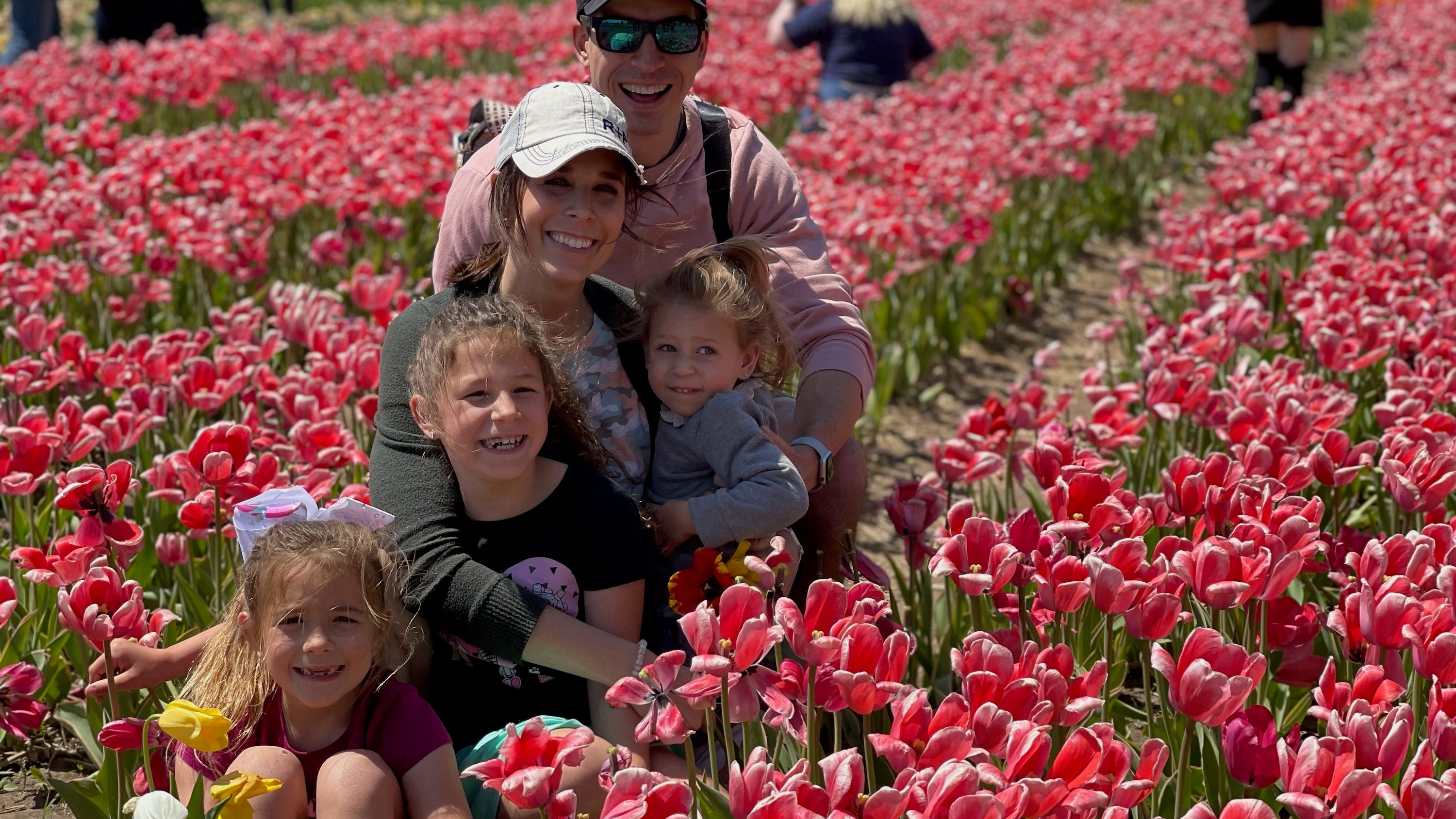 Spring Grove's annual Tulip Festival opens today