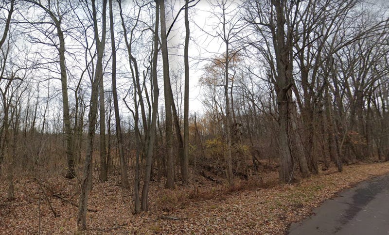 If you ever wanted some beach front property or acreage up north for hunting and other activities, an online auction of state-managed land that begins next month might be the big break you're looking for.
