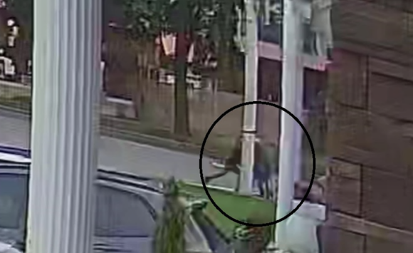 Defendants allegedly attacking the victim and attempting to drag him to the Isuzu.