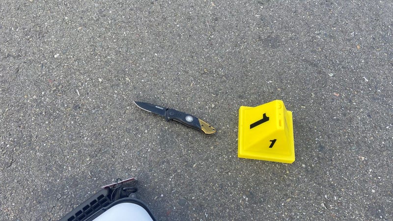 A photo of a knife allegedly carried by Tyrell Wilson, released on March 11.