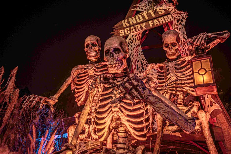 Knott's Scary Farm 2024