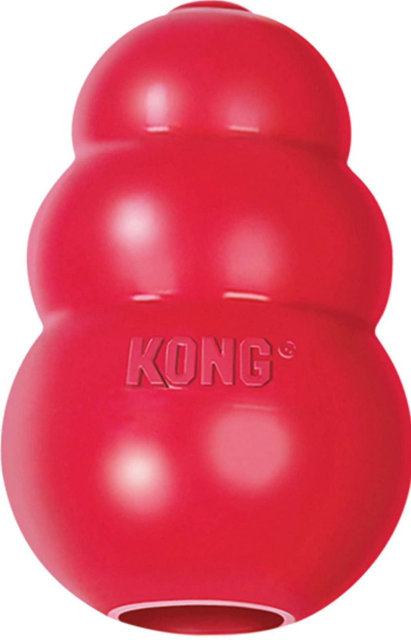 Kong dog toy 