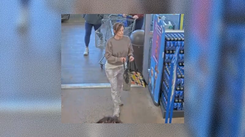 Woman caught on video stealing elderly woman's purse at Oakland County Kroger
