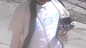 Fire officials searching for suspect who set off rubbish fires in Venice