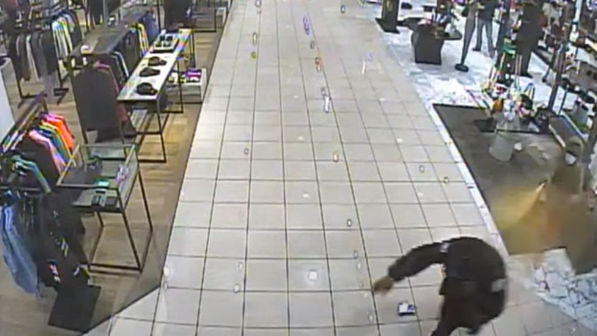 Los Angeles police release security video in Nordstrom flash mob robbery