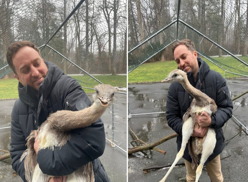 John Di Leonardo, anthrozoologist and executive director of Humane Long Island, holds a rhea confiscated in Bellmore this week