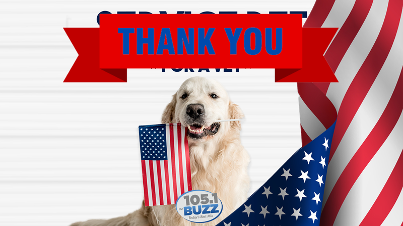 Service Pet for a Vet