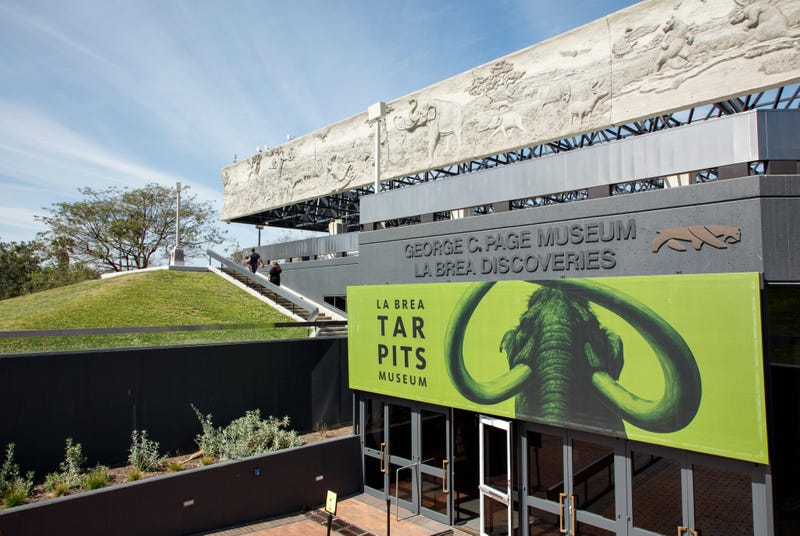 La Brea tar Pits Museum