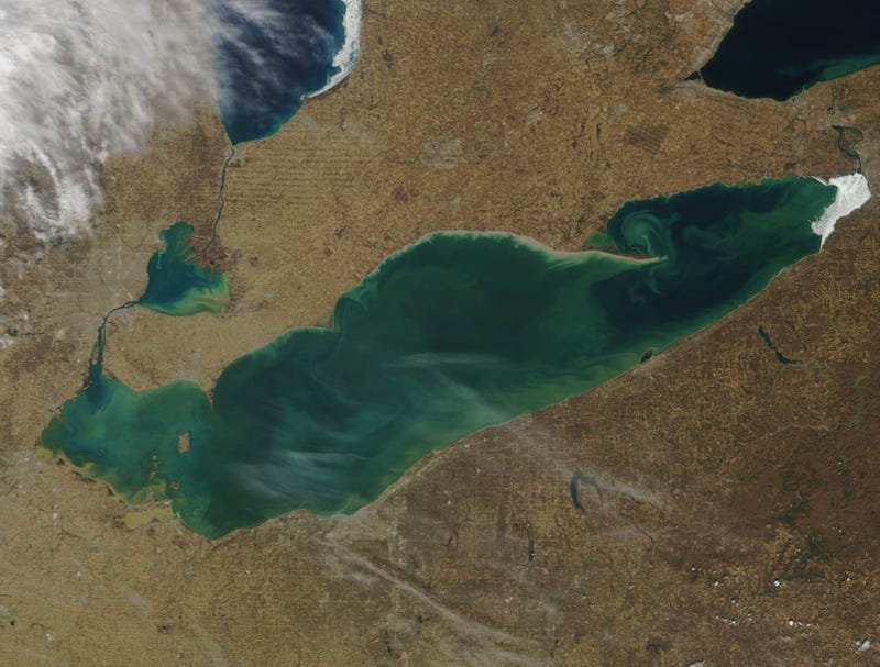 Lake Erie satellite ice image - March 21, 2022