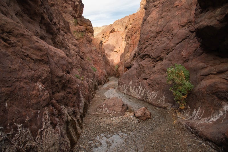 A hiking trail inside the Lake Mead National Recreation Area.