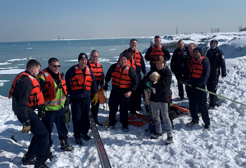 Dog rescued from Lake Michigan near Montrose Dog Beach