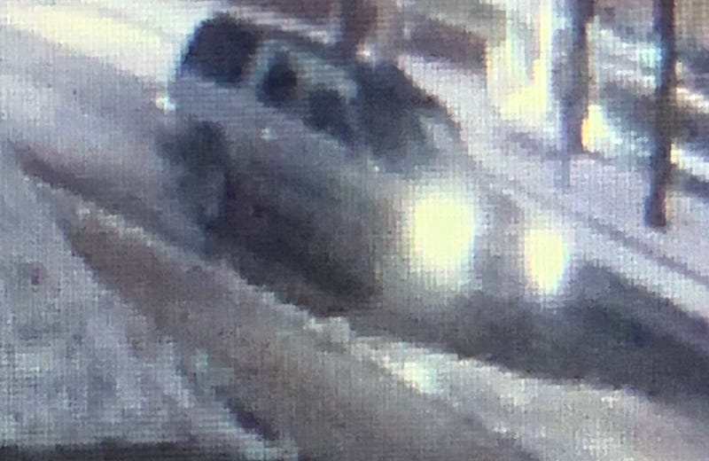 Michigan State Police are searching for a driver who hit a man with their vehicle before fleeing the scene in Vermontville, southwest of Lansing.