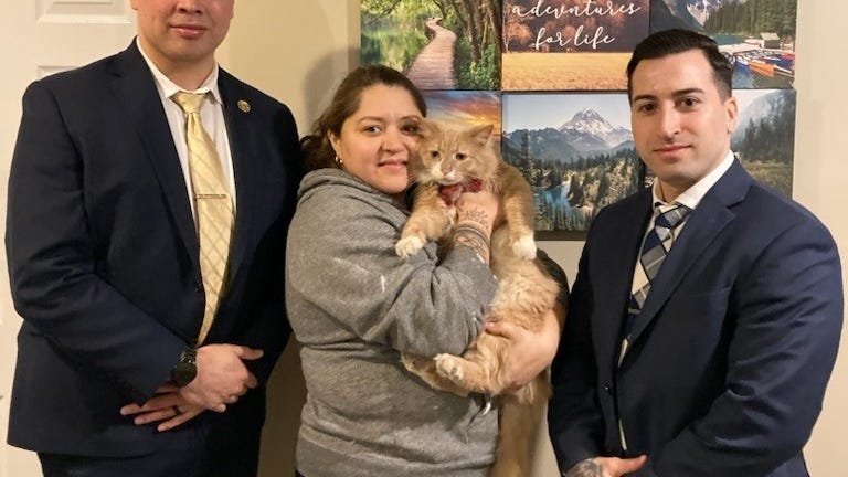 TAIL TO TELL: LI woman, stolen cat reunited after cops track catnapper's car