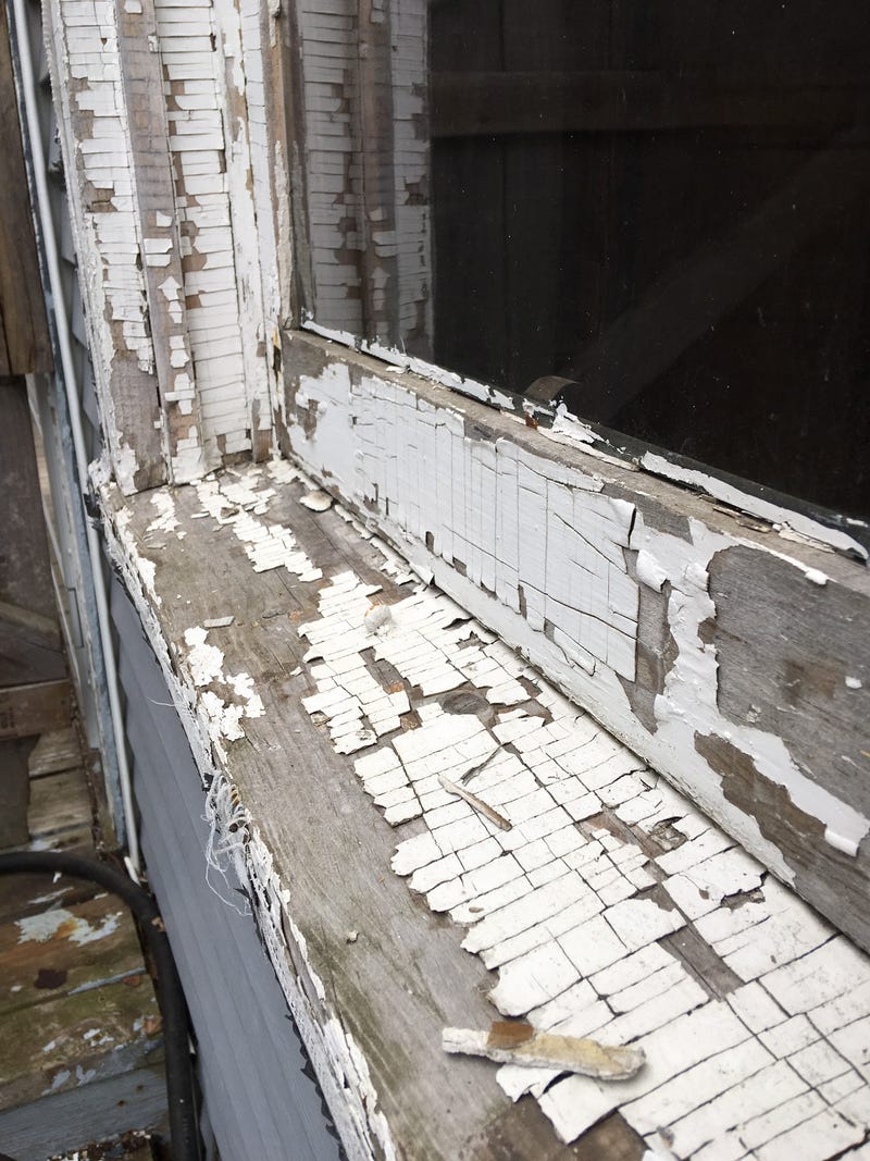 Lead, Removal, Homes, Hennepin County, Minneapolis, Sheletta Brundidge