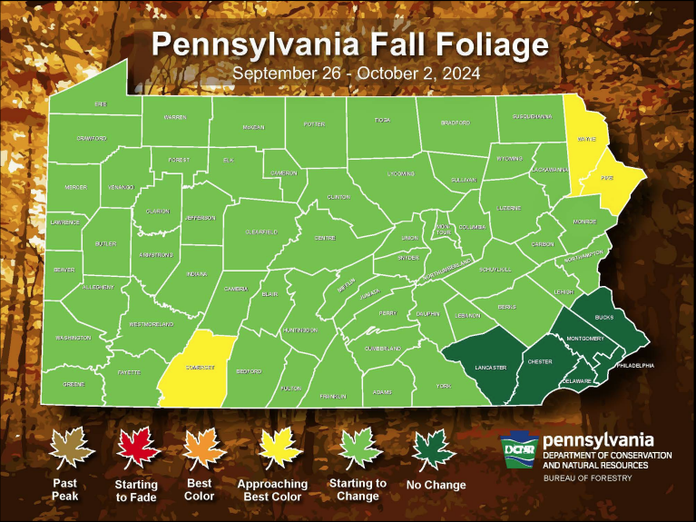 Fall Foliage map