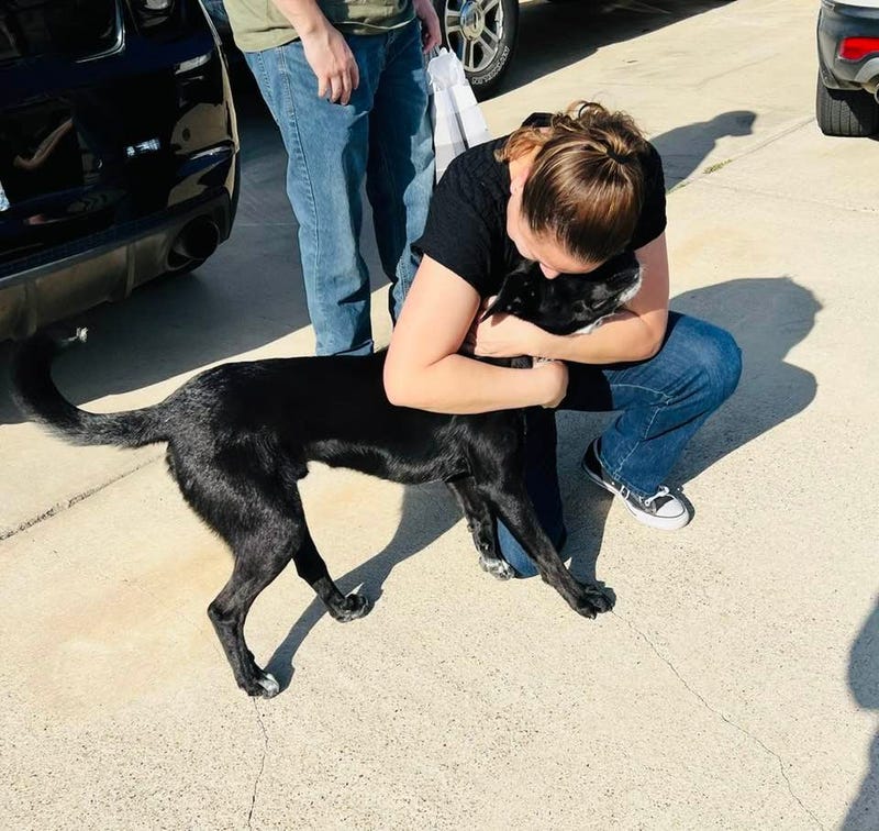 woman hugging her dog