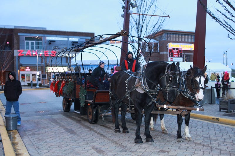 A variety of family-friendly festivities will be available at “Light Up The Park” from 2 p.m. to 6 p.m. on Friday, Nov. 26, including visits with Santa and Mrs. Claus, free horse-drawn sleigh rides, carolers, and ice sculpting viewing.