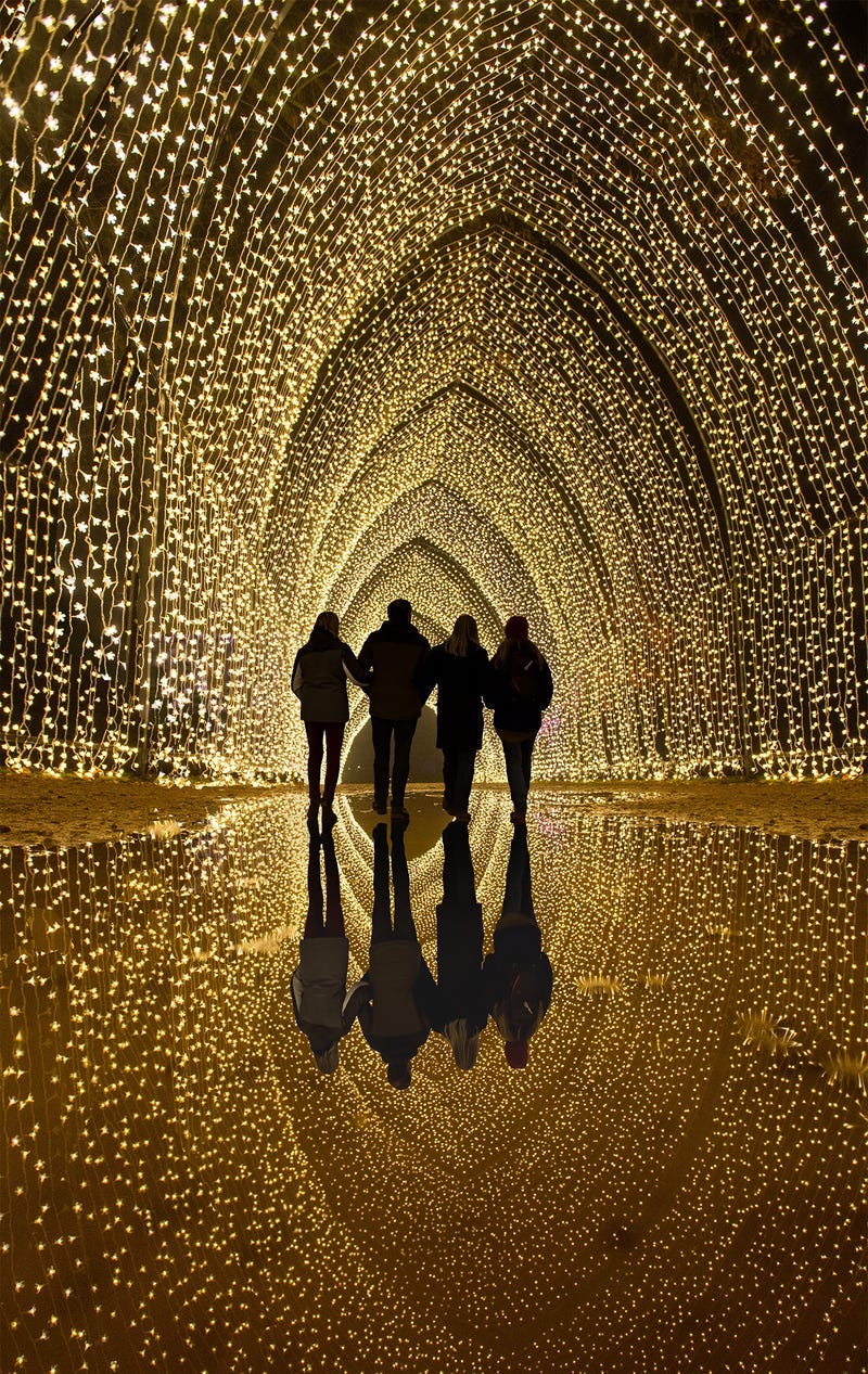 Lightscape