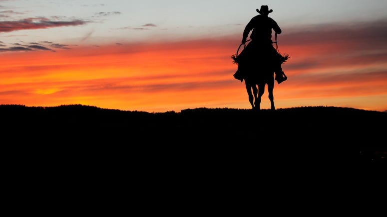 Who Is Lil Nas X? Seeking the Singer Behind "Old Town Road"