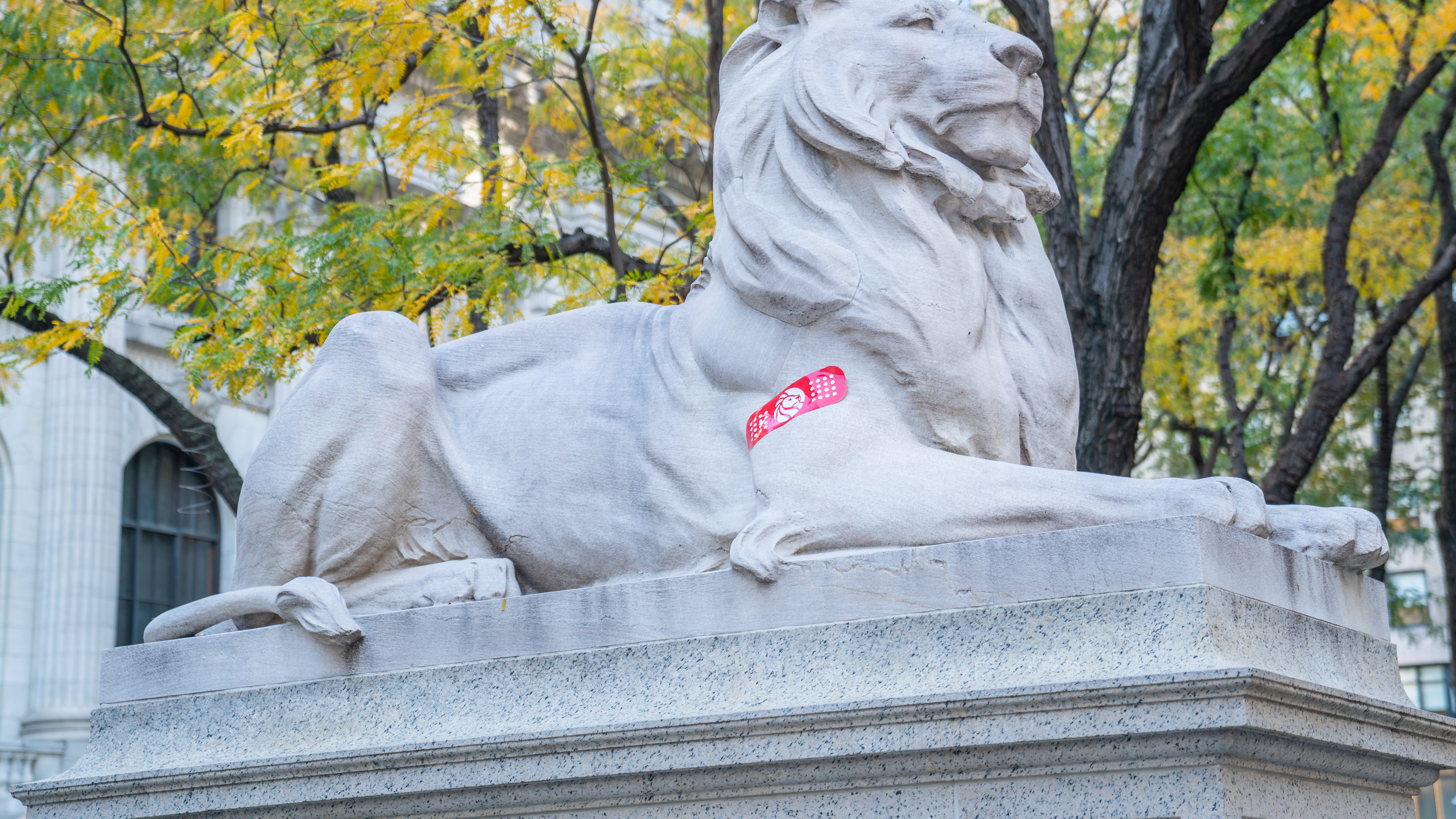 PHOTOS: NY Public Library's iconic lions don bandages to encourage vaccinations