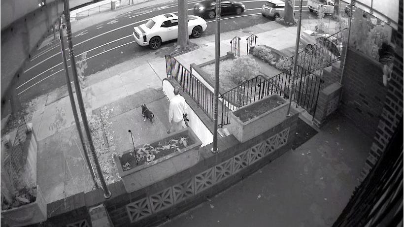 Queens man who aimed assault rife at NYPD detective sentenced to 8 years in prison