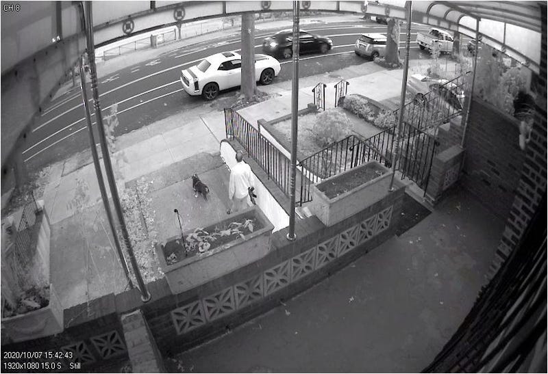 Liriano seen on surveillance video with assault rifle outside of Queens home. 