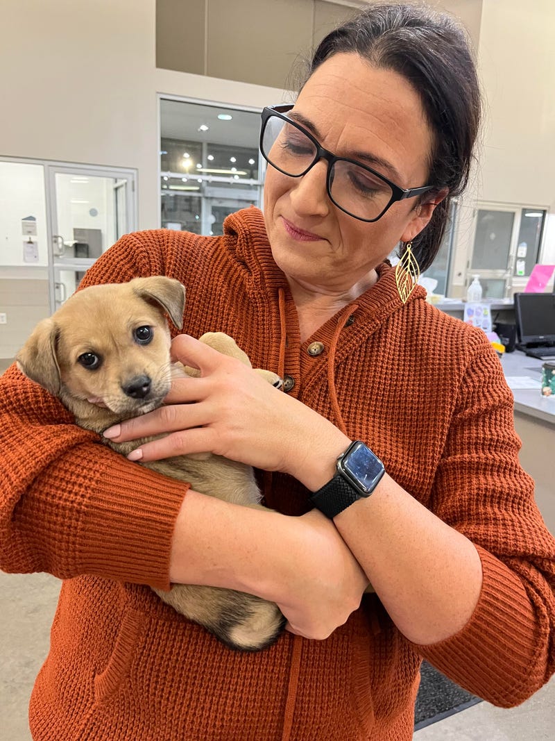 WBEN Brand Manager Lisa Polizzi and a puppy up for adoption at the SPCA Serving Erie County