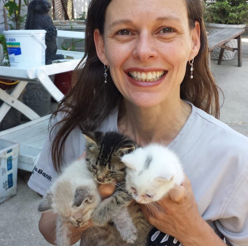 woman holding feral cats