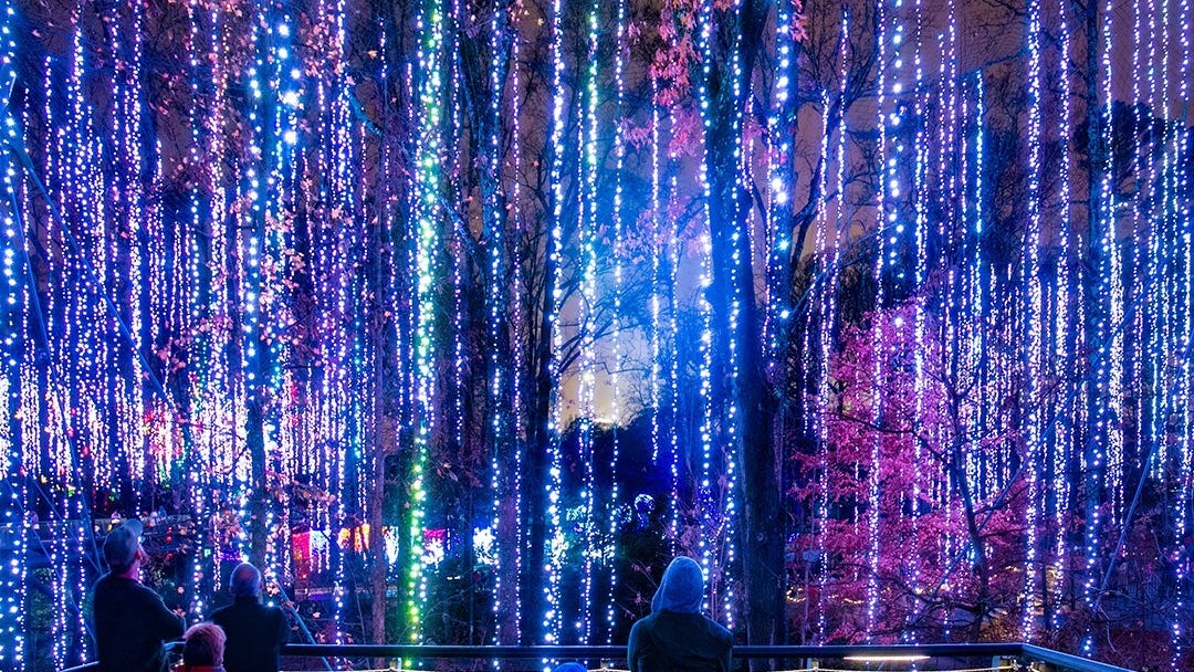 Garden Lights, Holiday Nights at the Atlanta Botanical Garden