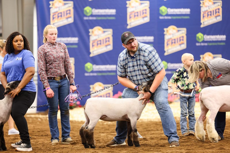 Jolene, Fifi and Brayton