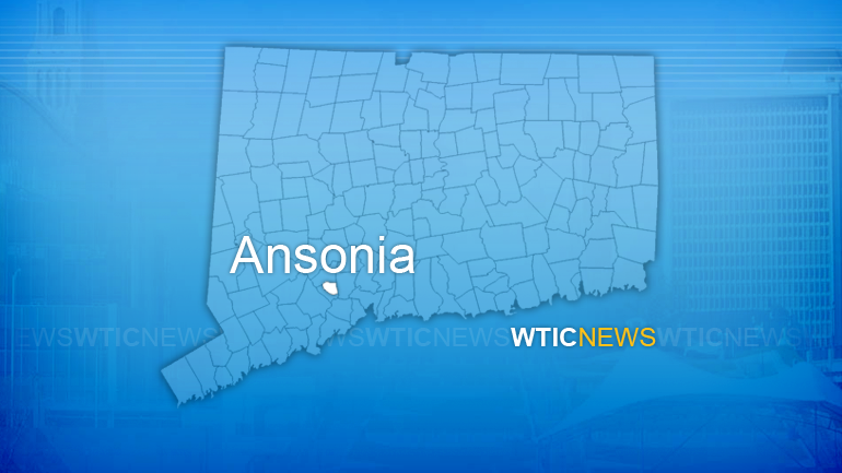 Ansonia