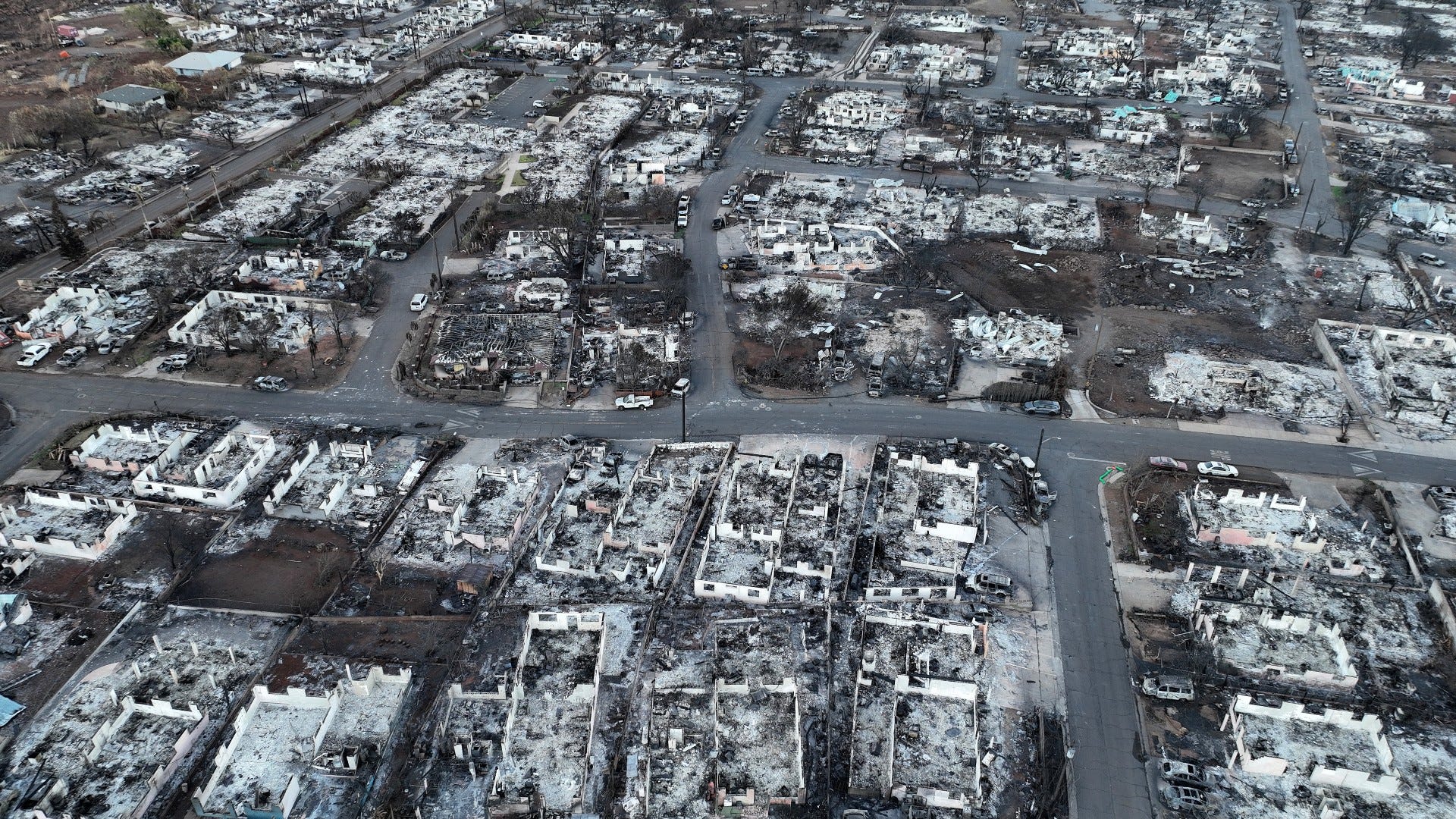 Veteran-led organizations assist in Hawaii wildfires relief operations