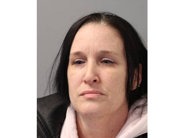 Amy Willi, 45, of Long Island, pleaded guilty on Friday to reckless endangerment for an incident in which her dog mauled a toddler and his uncle.