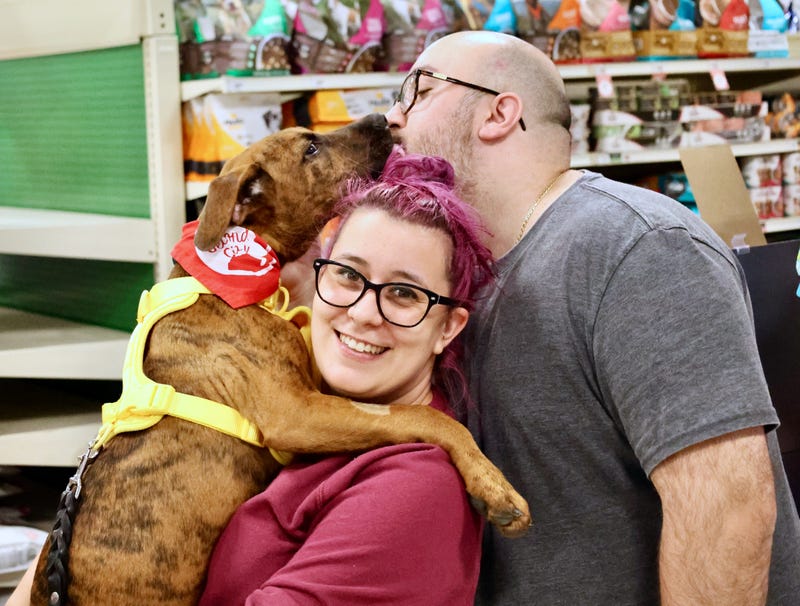 Second City Canine Rescue