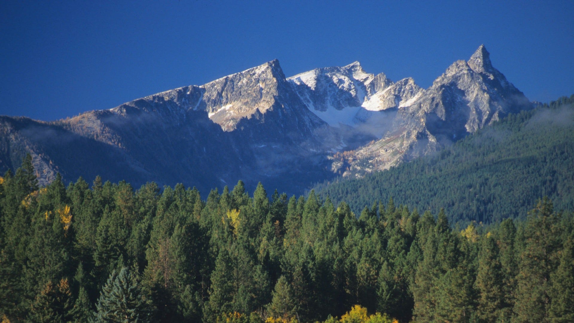 Montana is the state with the most star-spangled pride. New York not so much