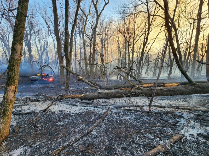 Fire crews from the Trappe Fire Company No. 1 respond to the brush fire in Lower Providence.