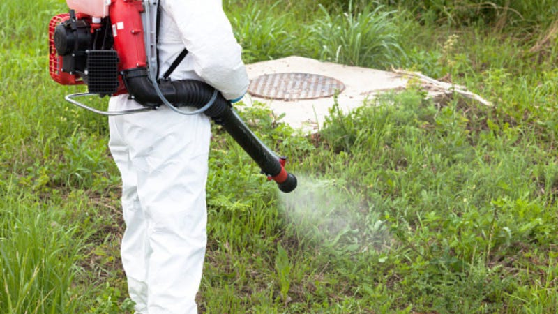 Professional pest control 