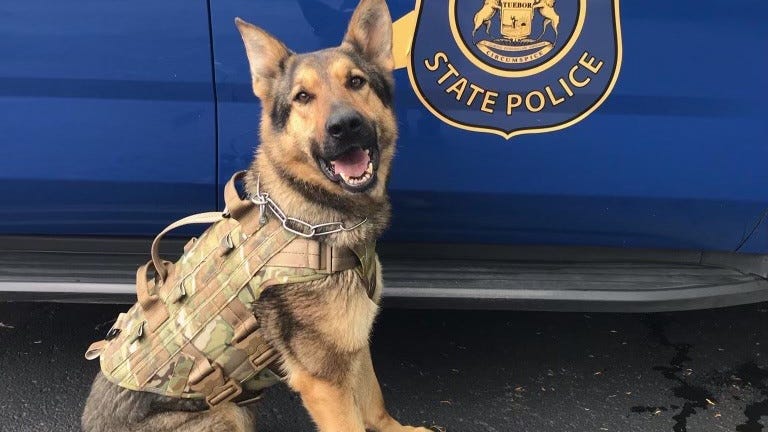 MSP K9 'Chief' tracks suspect for 4 miles, finds him hiding from police in trailer