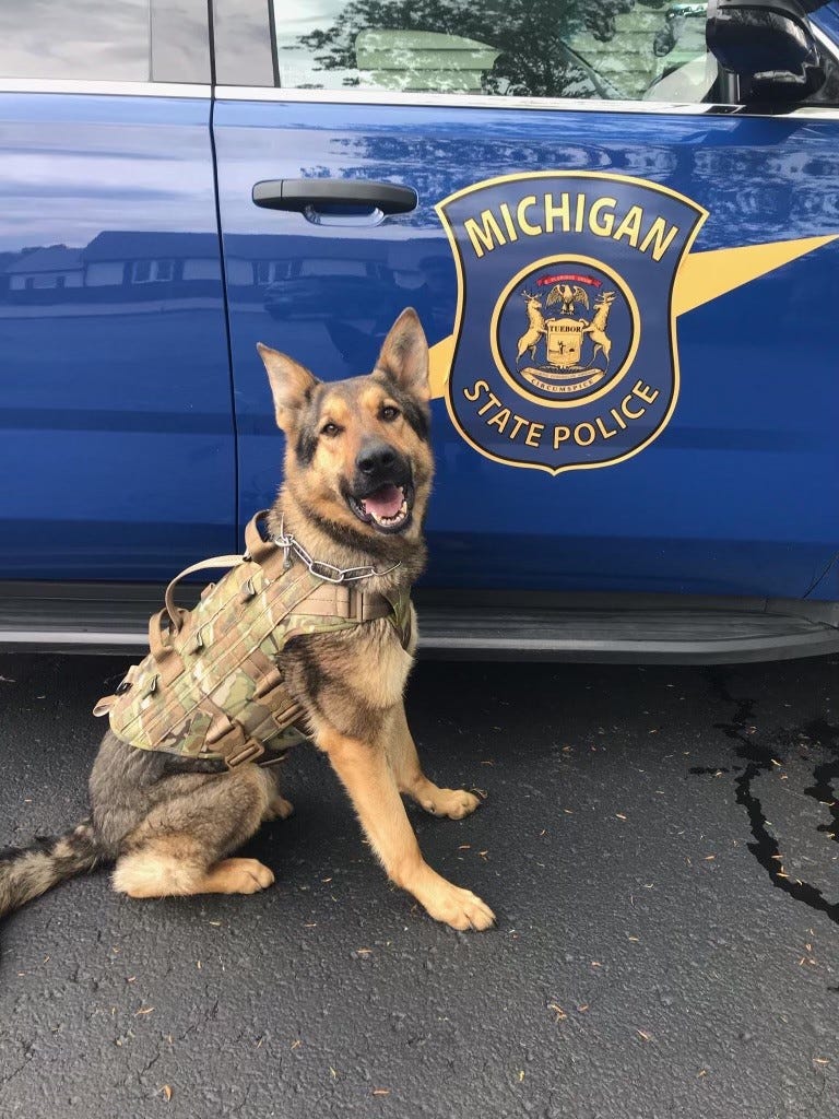 MSP K9 "Chief"