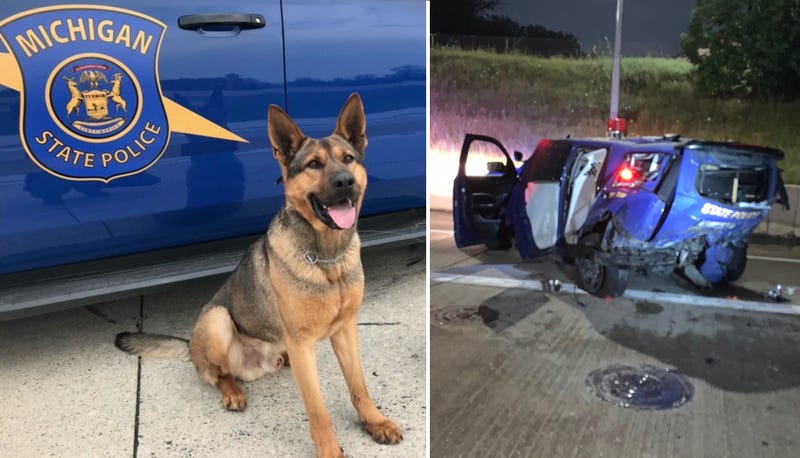 K9 killed