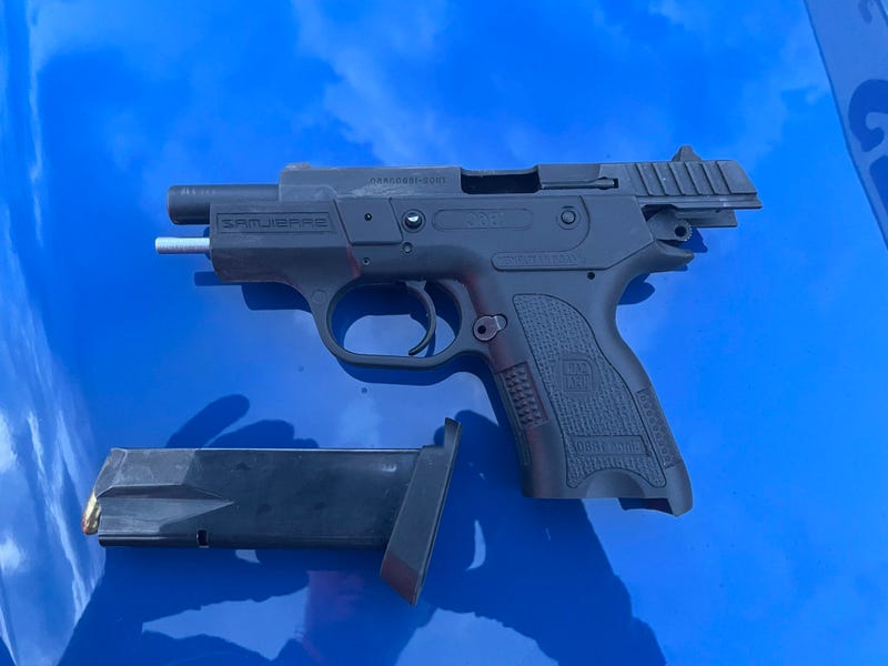 Gun seized
