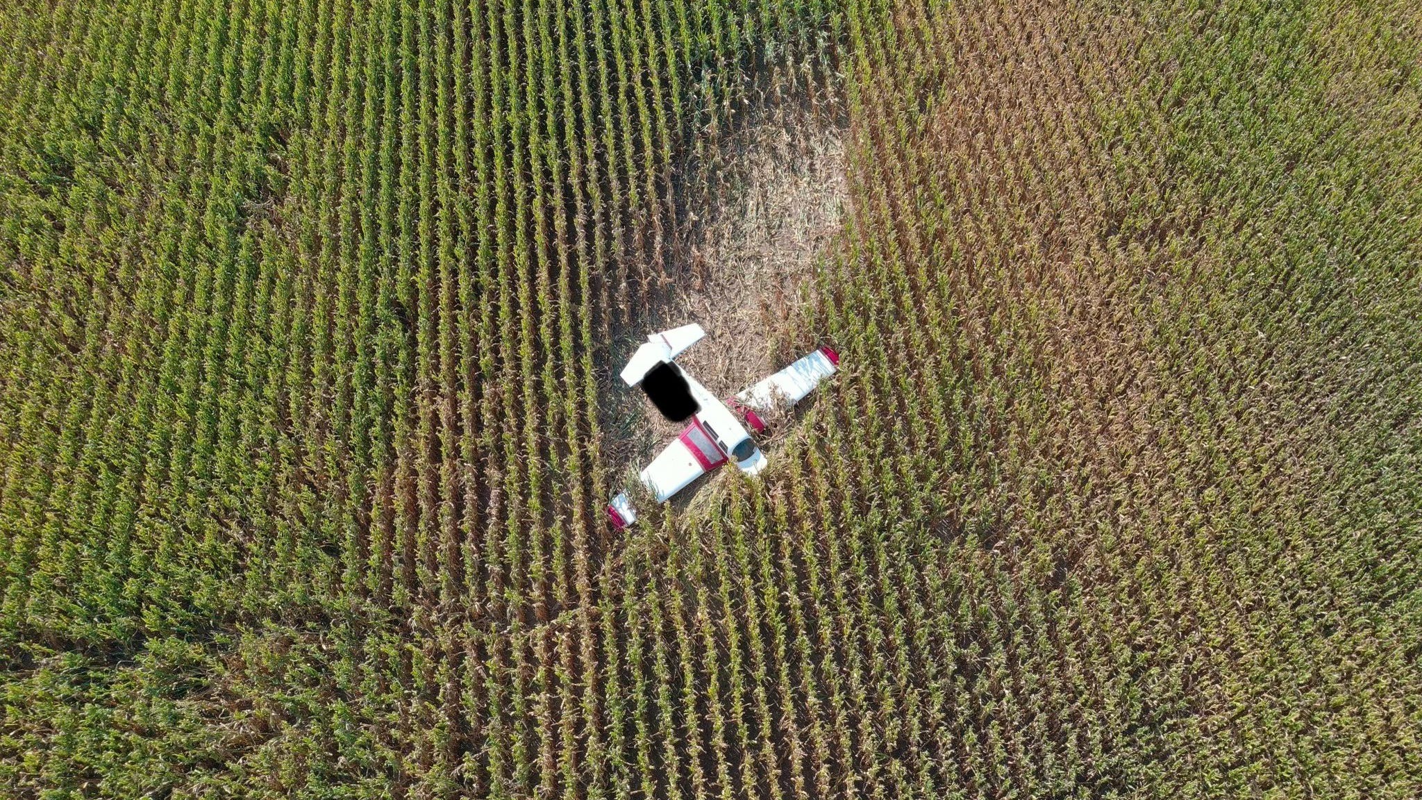 MSP: Small plane makes emergency landing in Livingston County